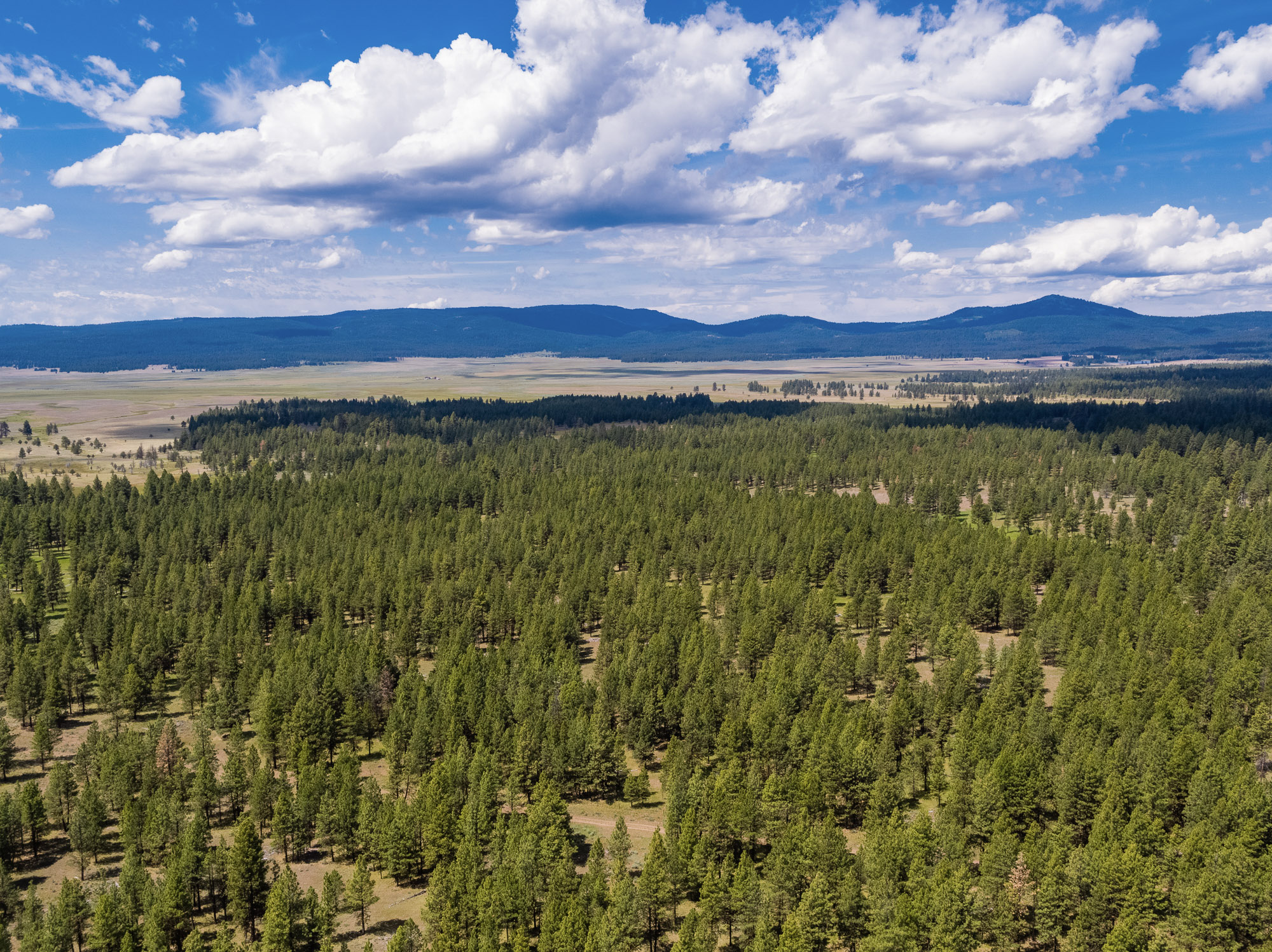 Summit Praire 9,300± Acres Crook County, Oregon