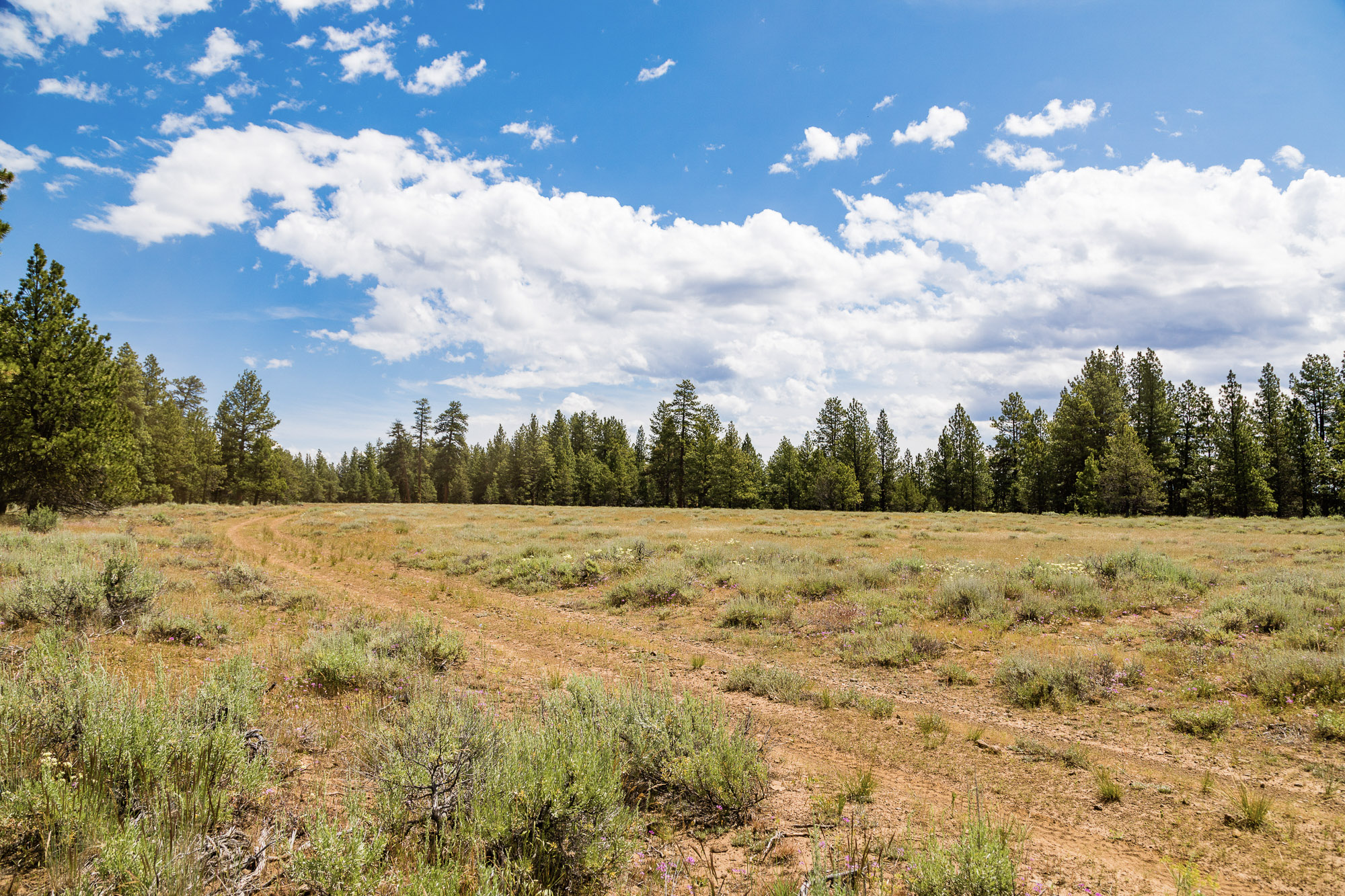Summit Praire 9,300± Acres Crook County, Oregon