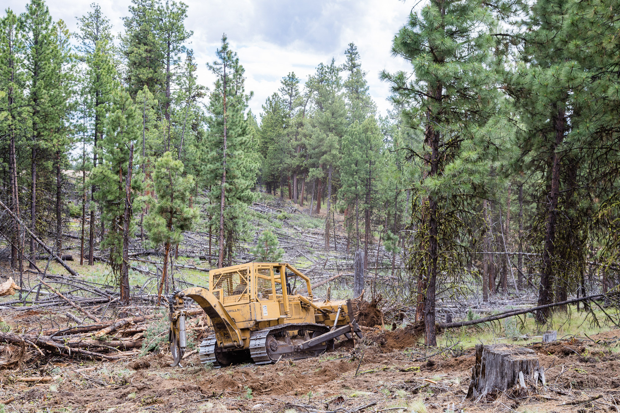 Summit Praire 9,300± Acres Crook County, Oregon
