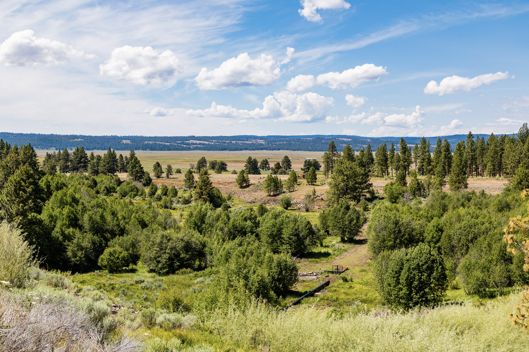 Summit Praire 9,300± Acres Crook County, Oregon