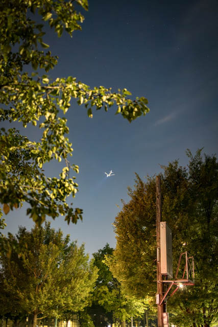 _MG_5701-Enhanced-NR