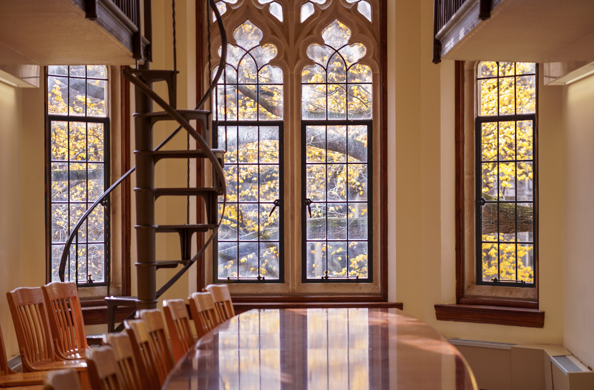 Graduate student researching in a library