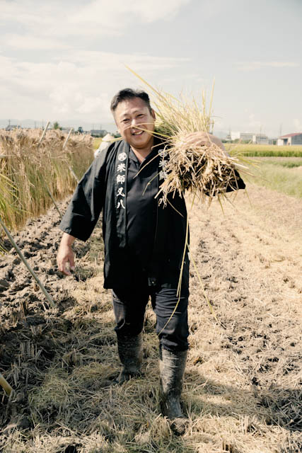 Smiling man carrying harvested rice stalks through a muddy field