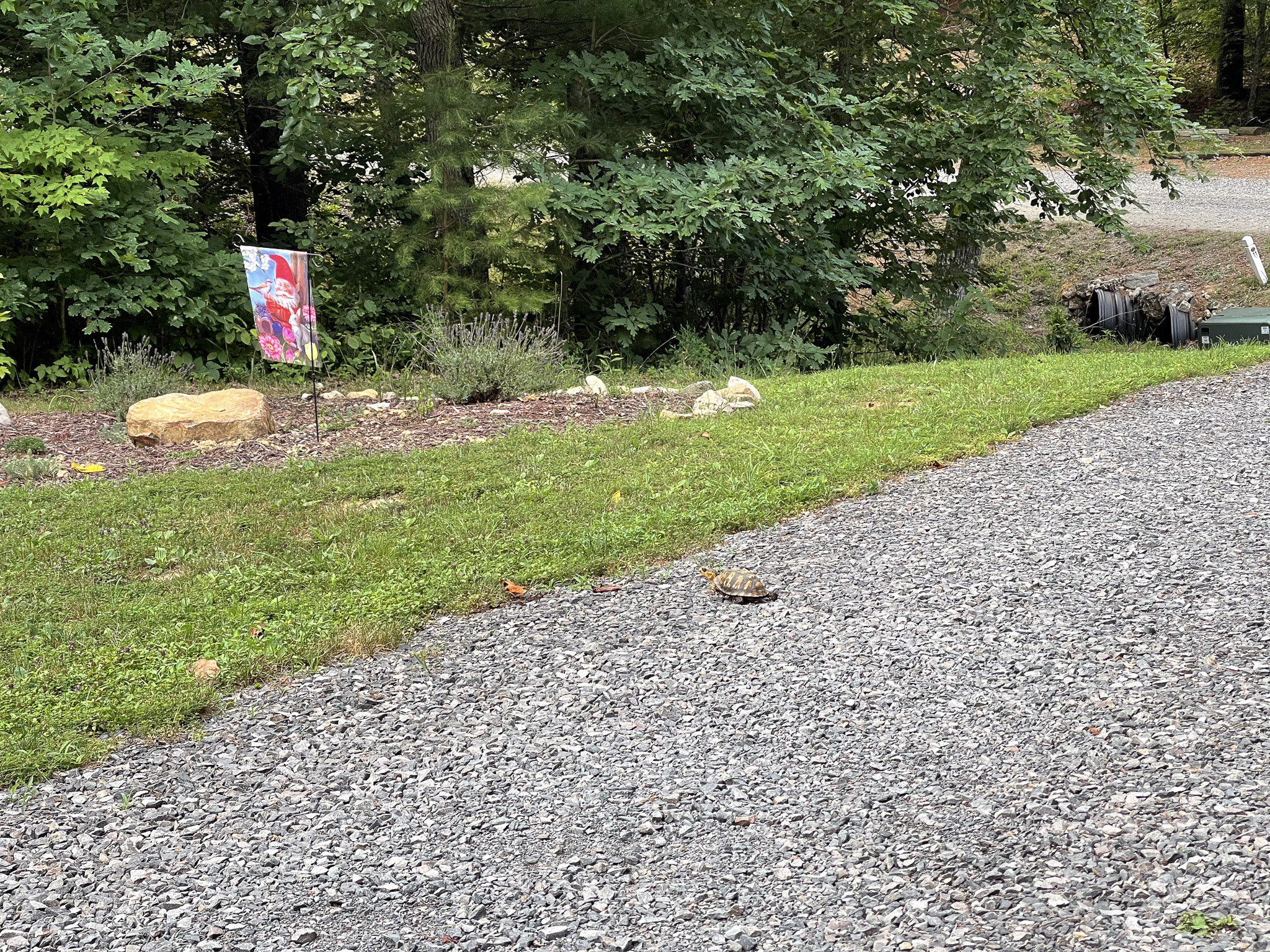 Arfcom drainage / excavation experts, please lend me your ear > General ...