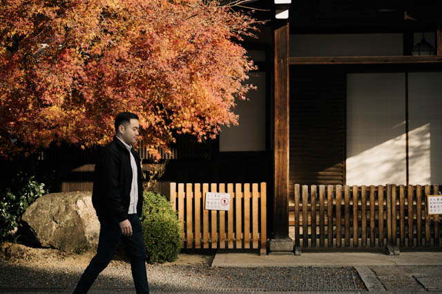 Man in black jacket walking past traditional wooden fence and autumn maple trees